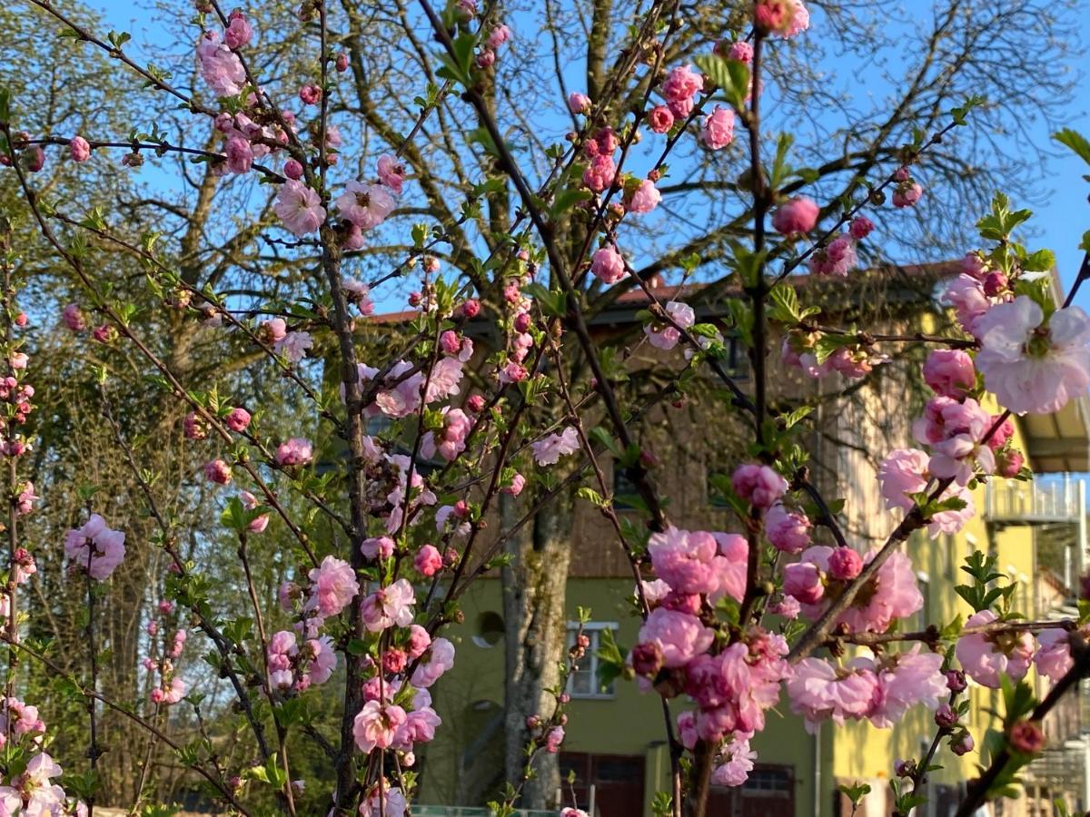 Villa Quintana Kunzing Екстер'єр фото